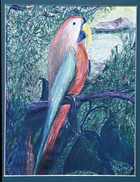 Big Bird by Tosca Lenci